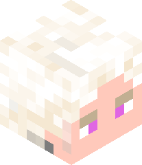 Daanoontje12345's head