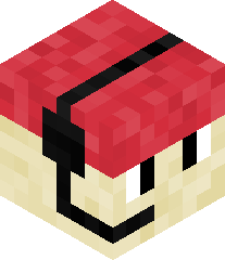 MOOSHTHEPRO123's head