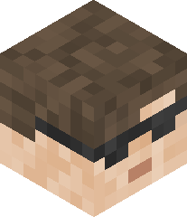 Gamerorsomething's head