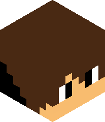 Blockcrusher241's head