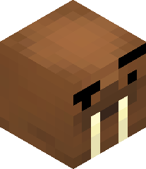 oogabooga12312's head