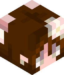 TheBeachyWhale18's head