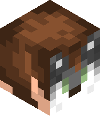 OfficialSkeppy's head