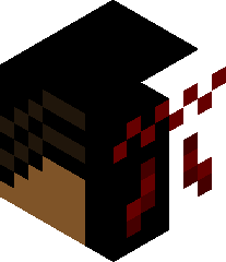 Jaythesunray125's head