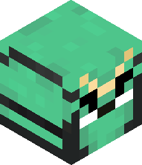 SilentStormSix's head