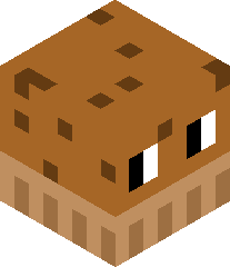 MajicalMuffin's head