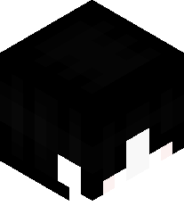 AndrewCoinbase's head