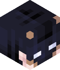 BreakABlock75's head