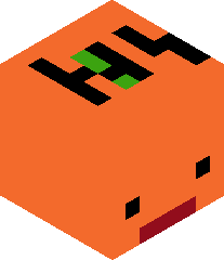 Zz___lrong___zZ's head