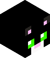 rayyansyed1010's head