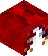 TimBernersLee's head