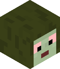 KanyeIsntReal69's head