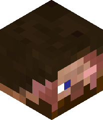 Playocomputer's head