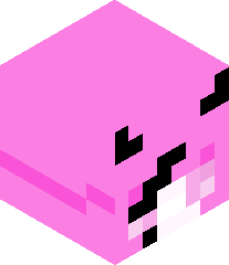 AsteroidKey4783's head