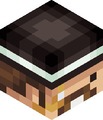 thehypixeldude12's head