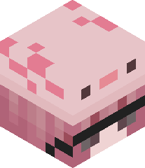 RaspBerry_TeaXD's head