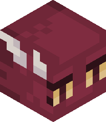 UltraBeast102's head