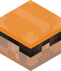 coolestfortnight's head