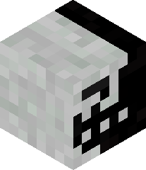 LogicalPlayer's head