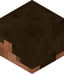 FootballFan_22's head