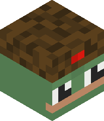 MINECRAFT_TEAM_1's head