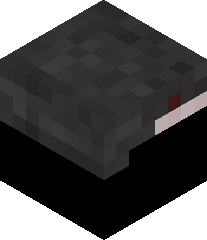 PolishPigeon67's head