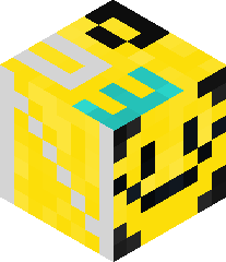 MinecrafNoobDude's head