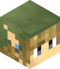 BoncPlayzMC's head