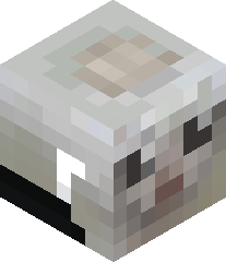 rainbowdonkey32's head