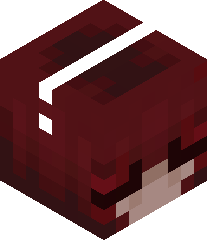 ilovenewjeans15's head