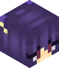 Blocky3253's head