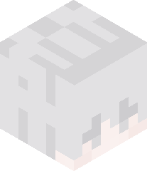 Mr_FunTime3214's head