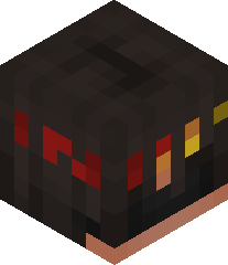 ExtremeFlamer's head