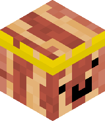 TheTrueBacon857's head