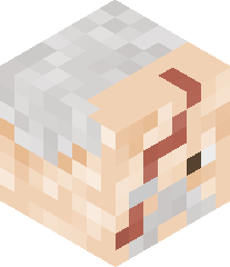 Yeetmaster4406's head