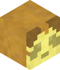 DamiBlockBuster's head