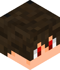 Thecodemaster41's head