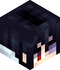 NoDarkNoLights's head