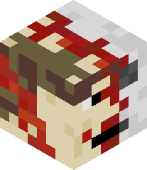 crazyapple1234's head