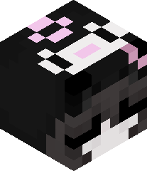 minecraft1522's head