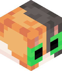 ozzythecatdude's head