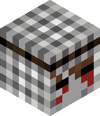 SlaughterCrafted's head