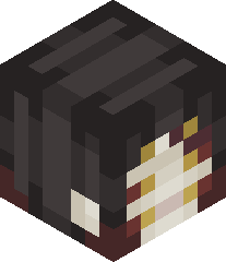 KoissenSoloss's head