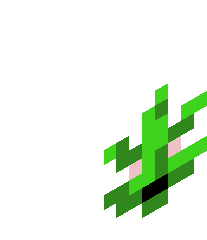 IndicaNoDiddy's head