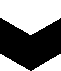 GreySpider60981's head