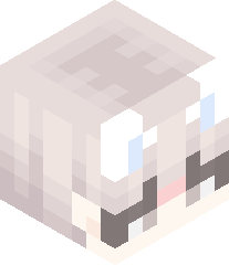 NoahsFunGaming's head