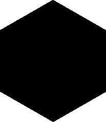 ThatBarryKid98's head