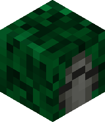 Hatchet_Doctor's head