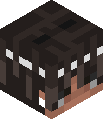 spiritofsonder's head