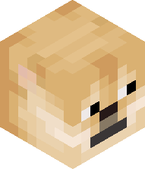 sebigonzalez06's head